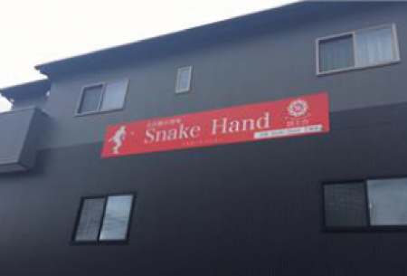 Snake Hand