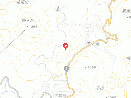 箱根湯の花プリンスホテルの地図