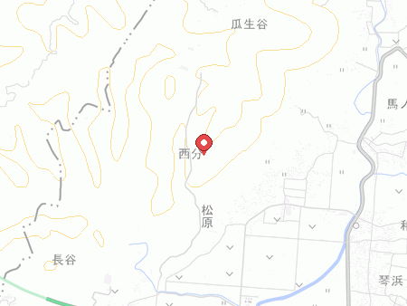 ロイヤルホテル 土佐の地図