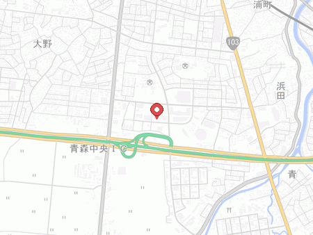 スーパースポーツゼビオ 青森中央店の地図