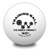 TWC ワールド・トレーニングボール 500球入ハードケース