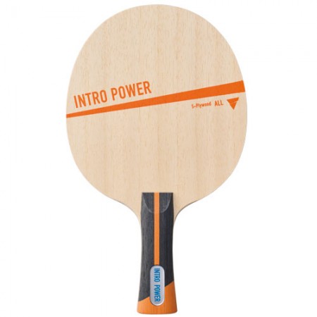 イントロ パワー FL