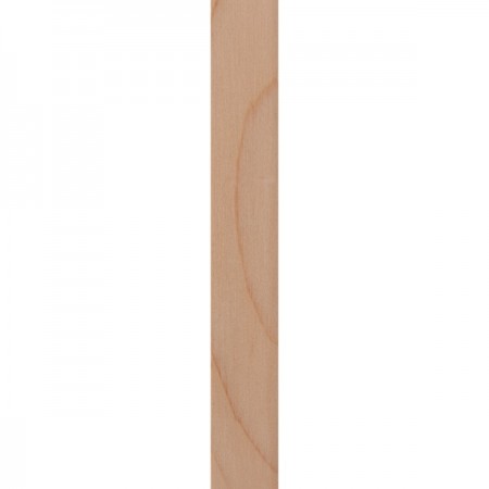 A1X（エーワンエックス）