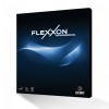 フレクソン（Flexxon）