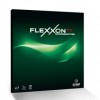 フレクソン FX（Flexxon FX）