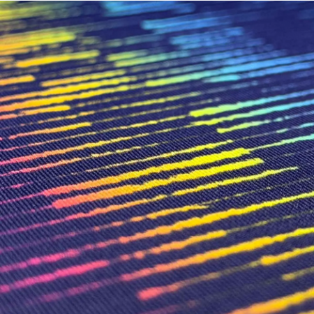 クレイエト・Tシャツ